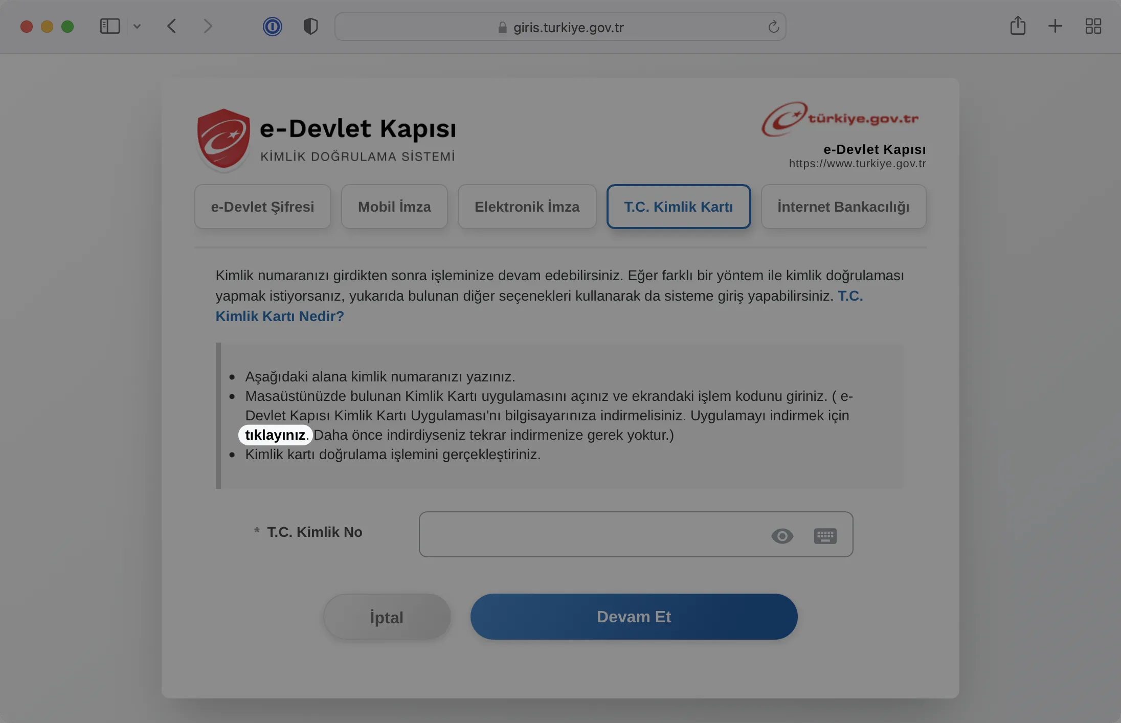 e-Devlet Website